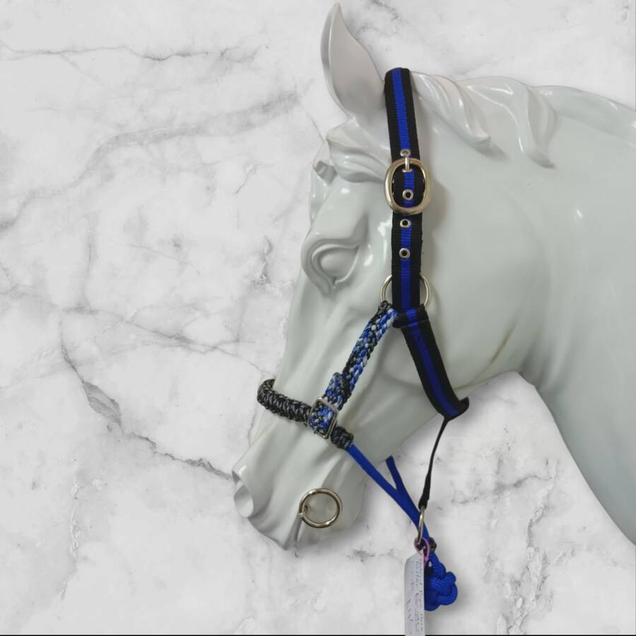Cob size Hybrid halter blue rope nose adjustable side pieces