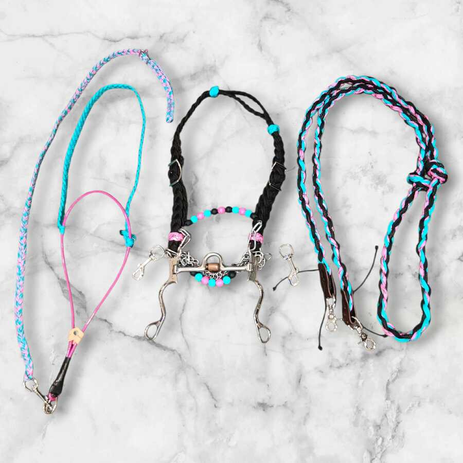 Barrel racing setup Cob/Small Horse size