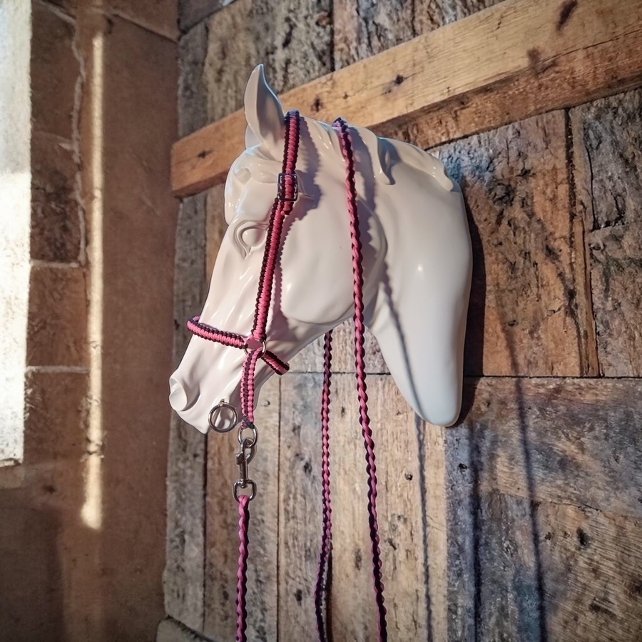 Halter and matching 2mtr lead has buckle on 1 side. Made to order any colour or size