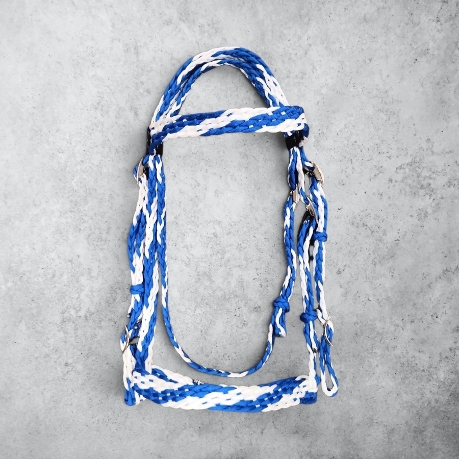 Cob size flat braided bridle.