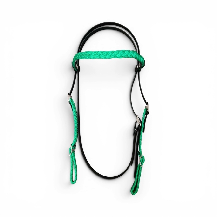 Full size flat braided and beta biothane bridle