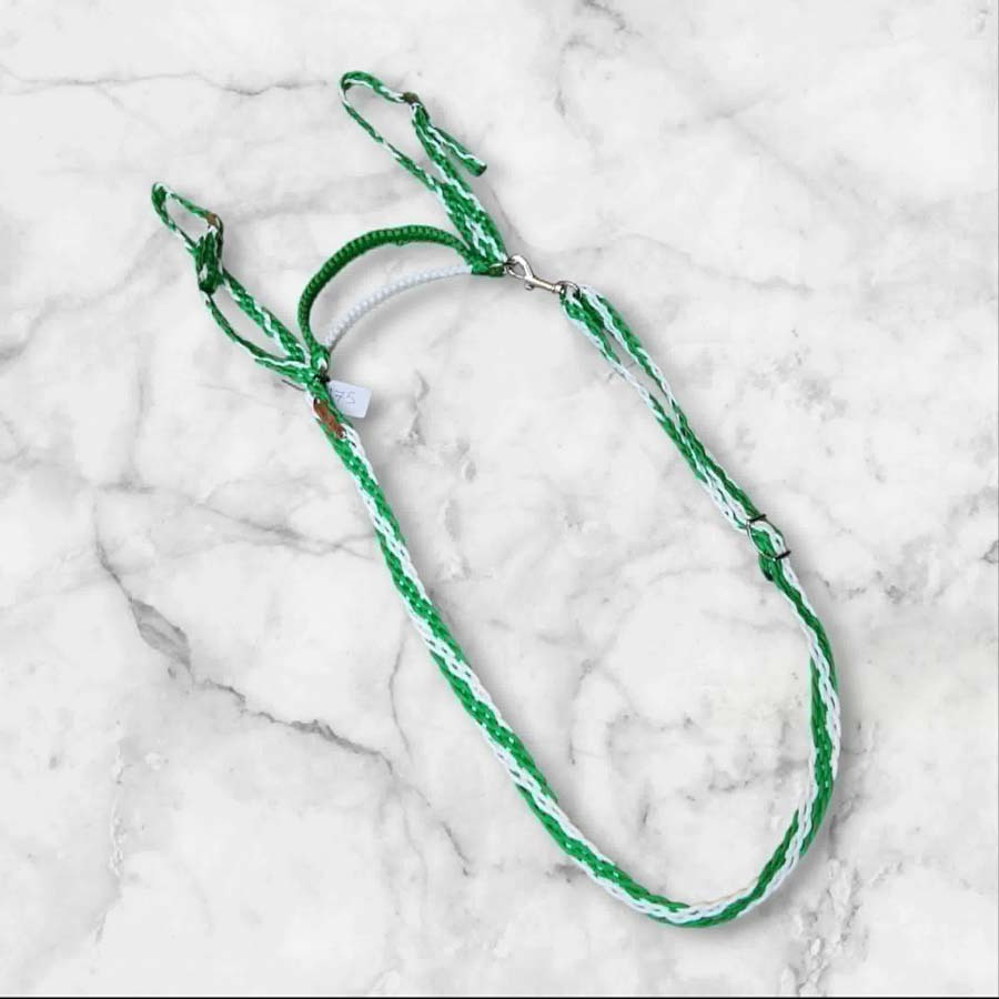 Neckstrap with handle and straps, green and white