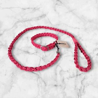 Pet Collars & Leads