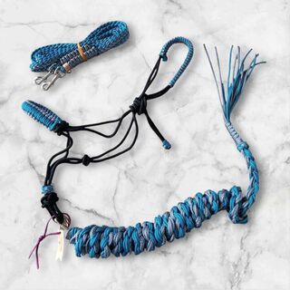 Complete 9-Foot Clip-On Reins Set with Matching Halter, Lead Rope.