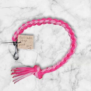 Foal Catch Strap Pink 62cm long