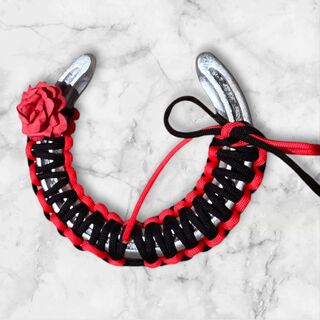 Decorated Horse Shoe