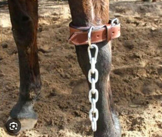 Kicking Chains