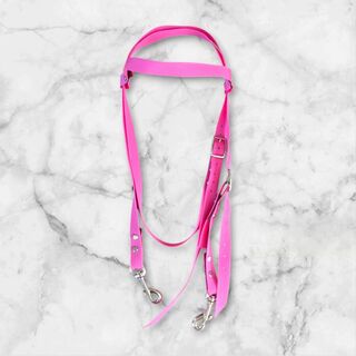 Cob webbing bridle