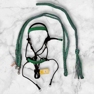 Bitless bridle