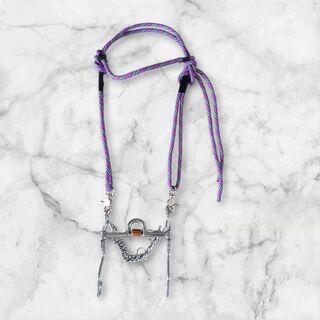 Rope bridle