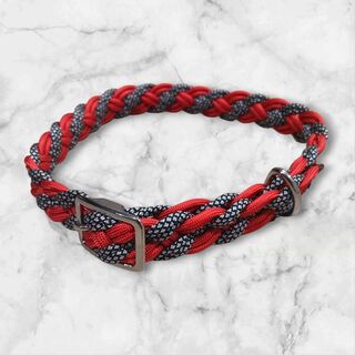 Red braided dog collar