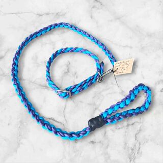 Collar and matching lead