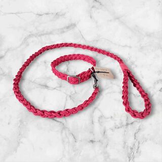 Red collar and matching lead