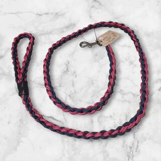 Pet lead