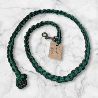 Pet lead