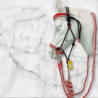 Full size matching set includes sidepull halter bridle with chin strap, round braided reins,leadrope